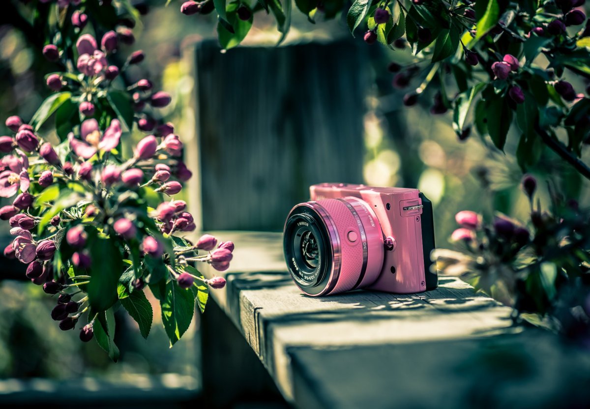 Фотоаппарат Весна