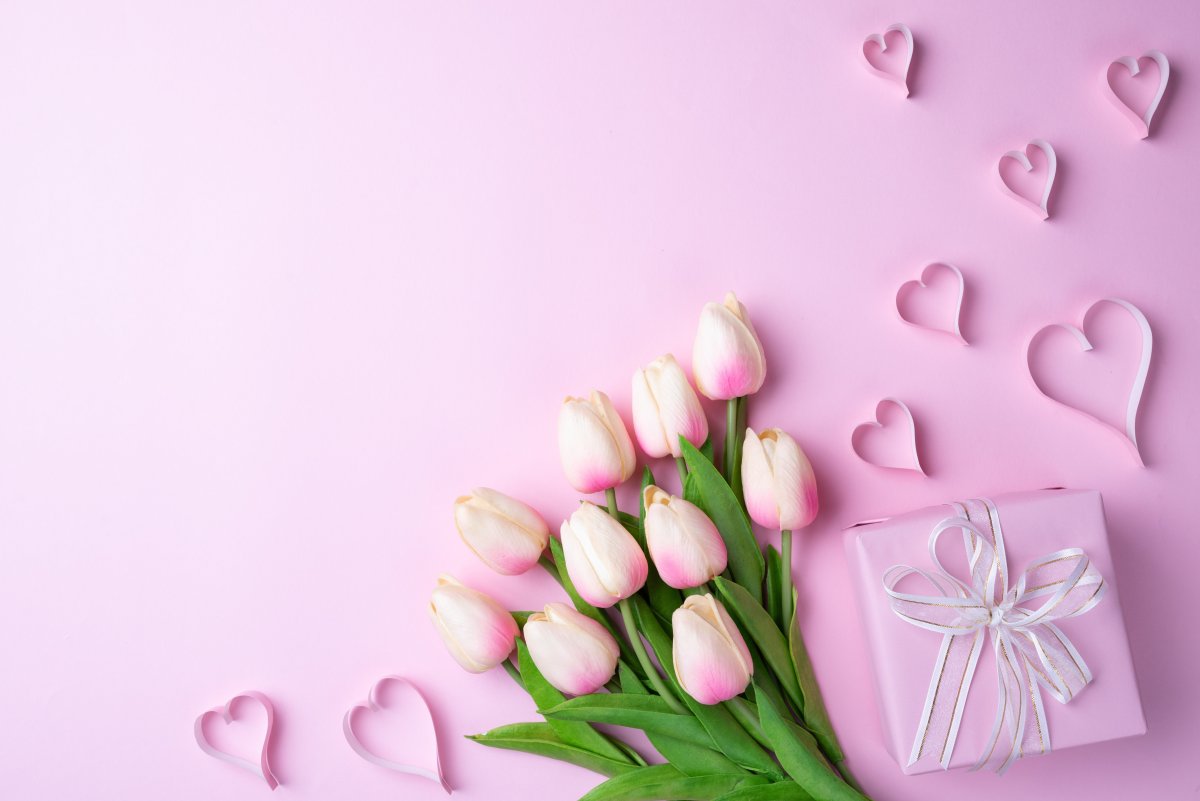 Утро белые цветы