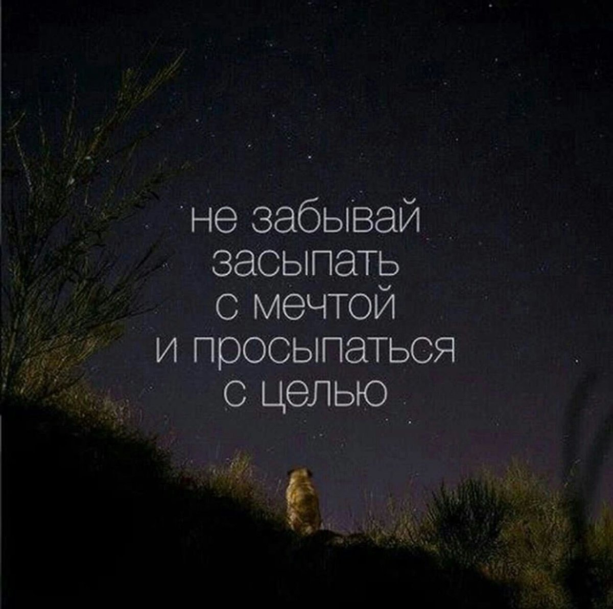 Статусы про сон со смыслом