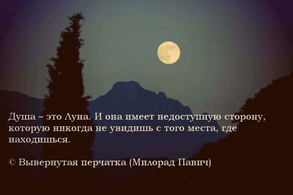 Цитаты про ночь