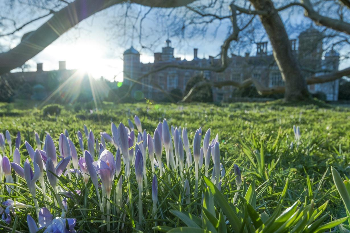 Весенняя природа