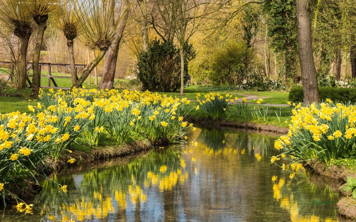 Весна природа