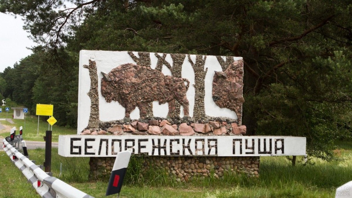 Беловежская пуща Польша