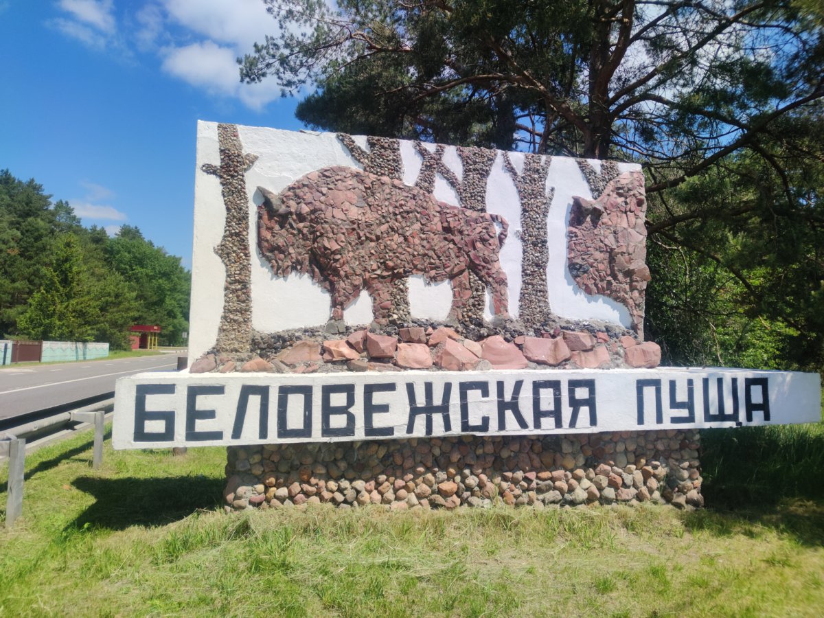 Беловежская пуща Заповедная зона,