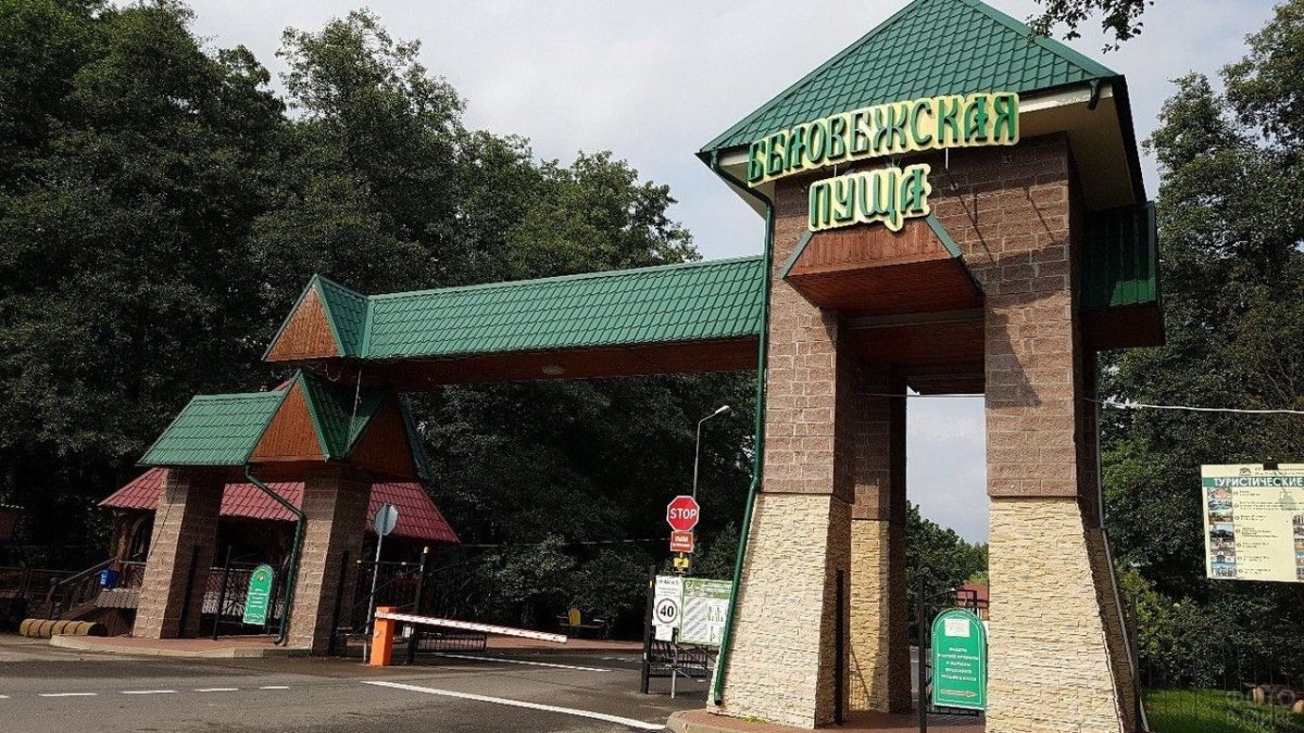 Достопримечательности Белоруссии Беловежская пуща