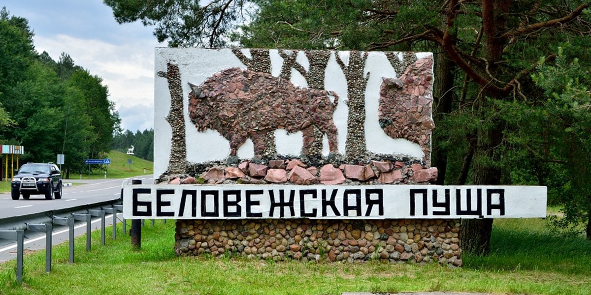Беловежская пуща забор Польша Беларусь