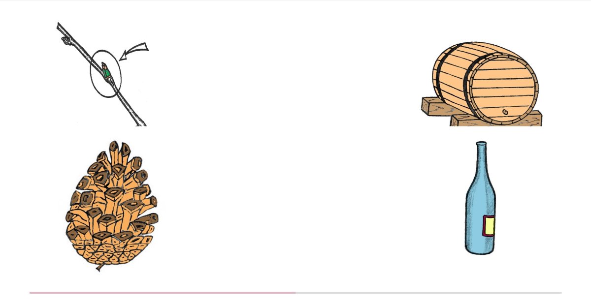 Бочка почка картинки