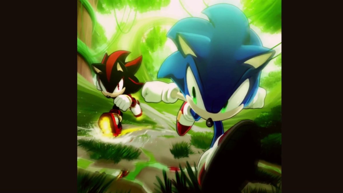 Ёж Шедоу и Соник