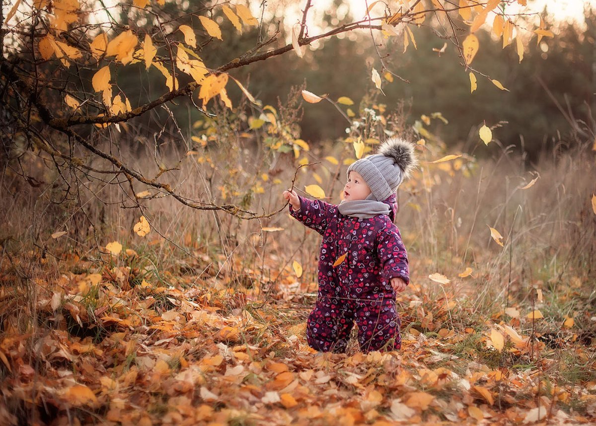 Осень ветер