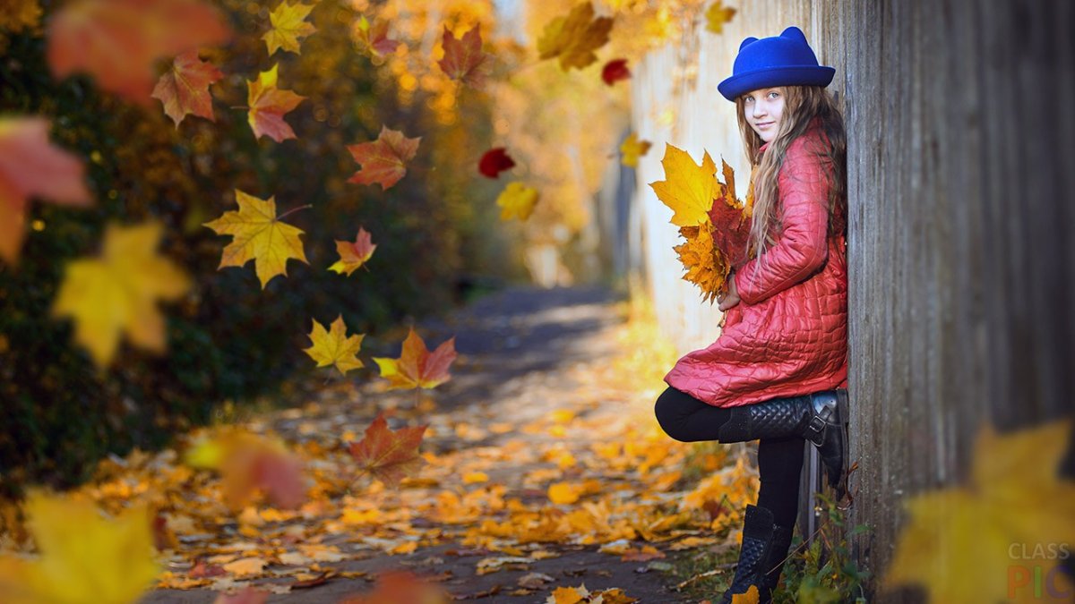 Осенние деревья для детей в детском саду