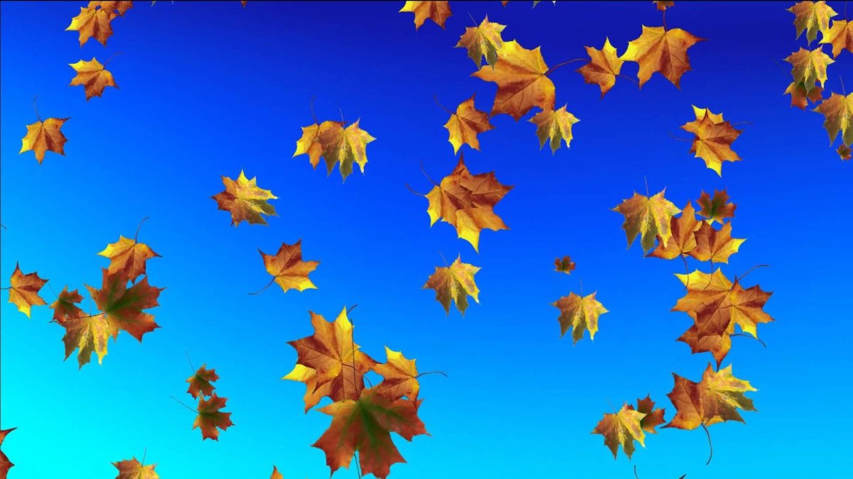 Осень для дошкольников