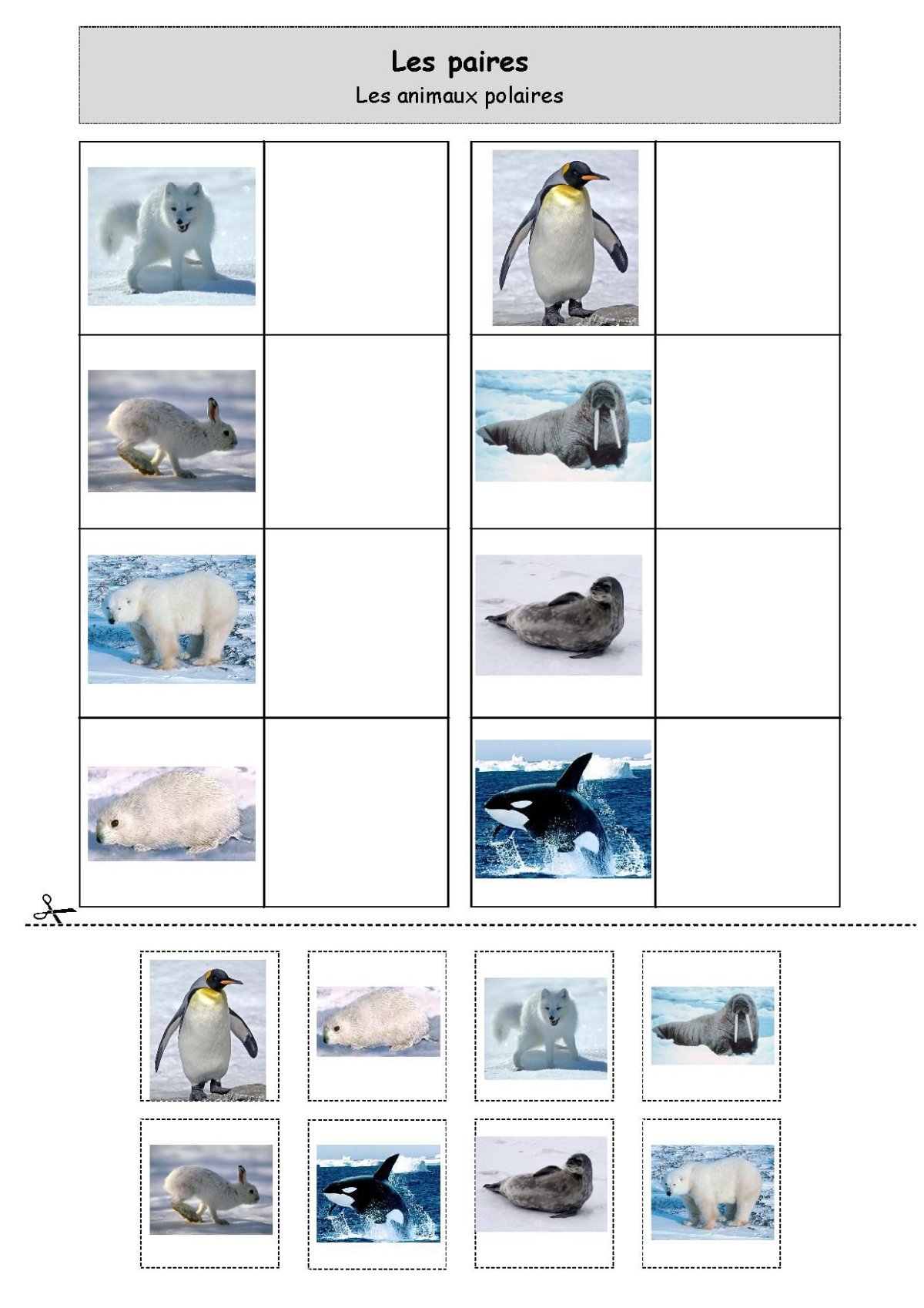 Игра теневое лото