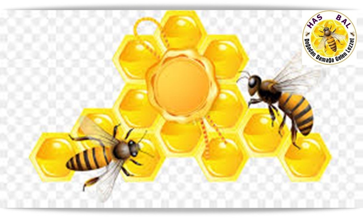 Рамка с пчелами и сотами