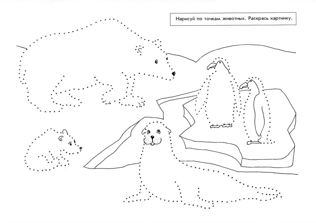 Зоопарк задания для дошкольников