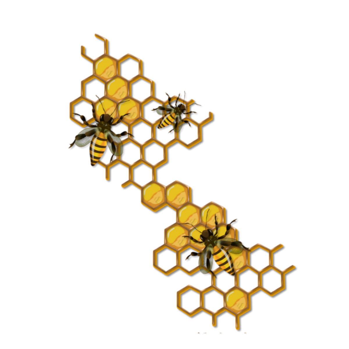 Соты пчелиные фон