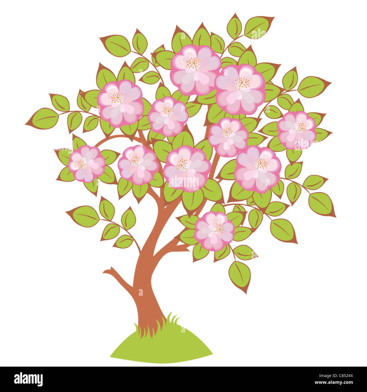 Цветущее дерево для срисовки