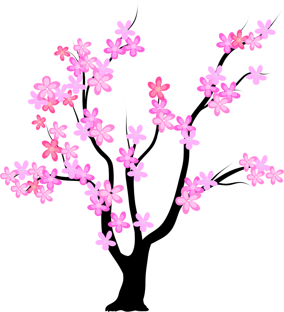 Сакура дерево