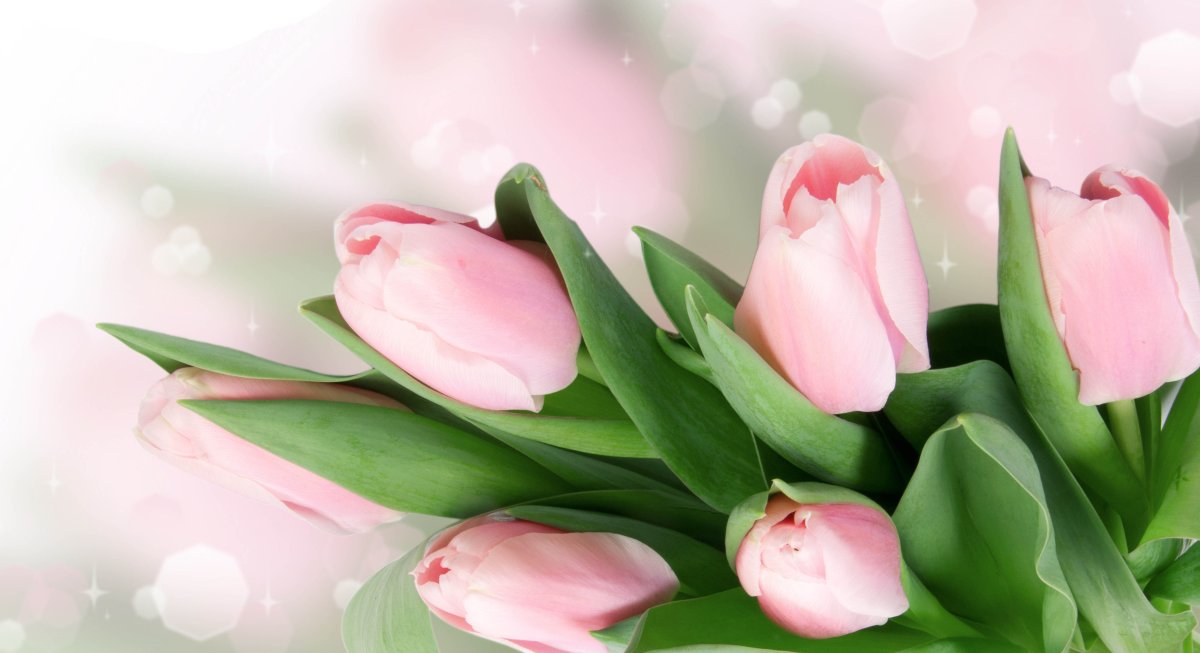 Открытки с днём рождения Жанне