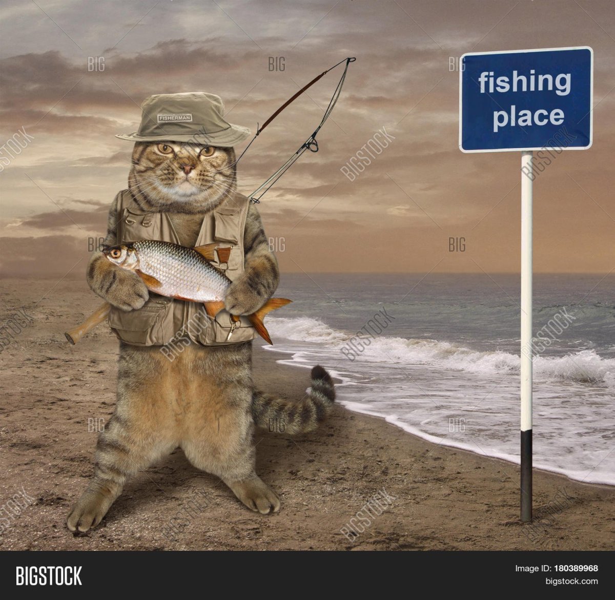 Рыбак карикатура