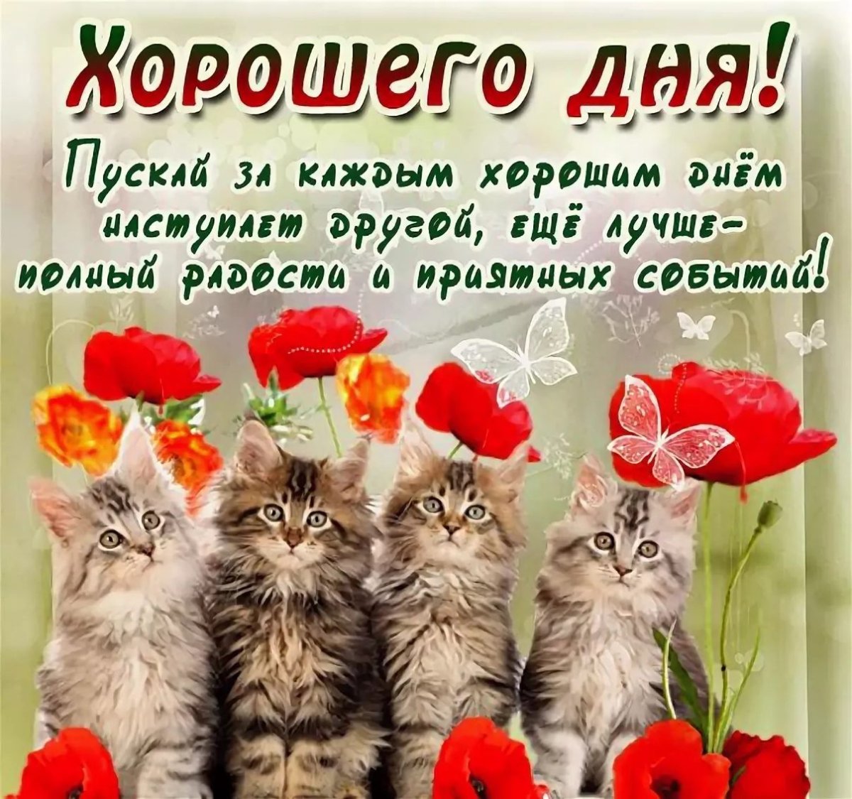 Доброе утро любимая