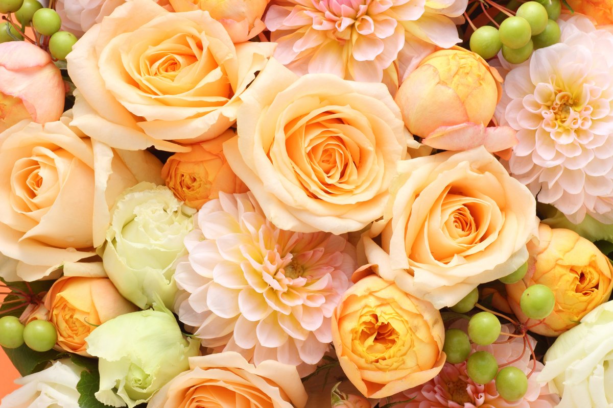 С днём рождения мврина