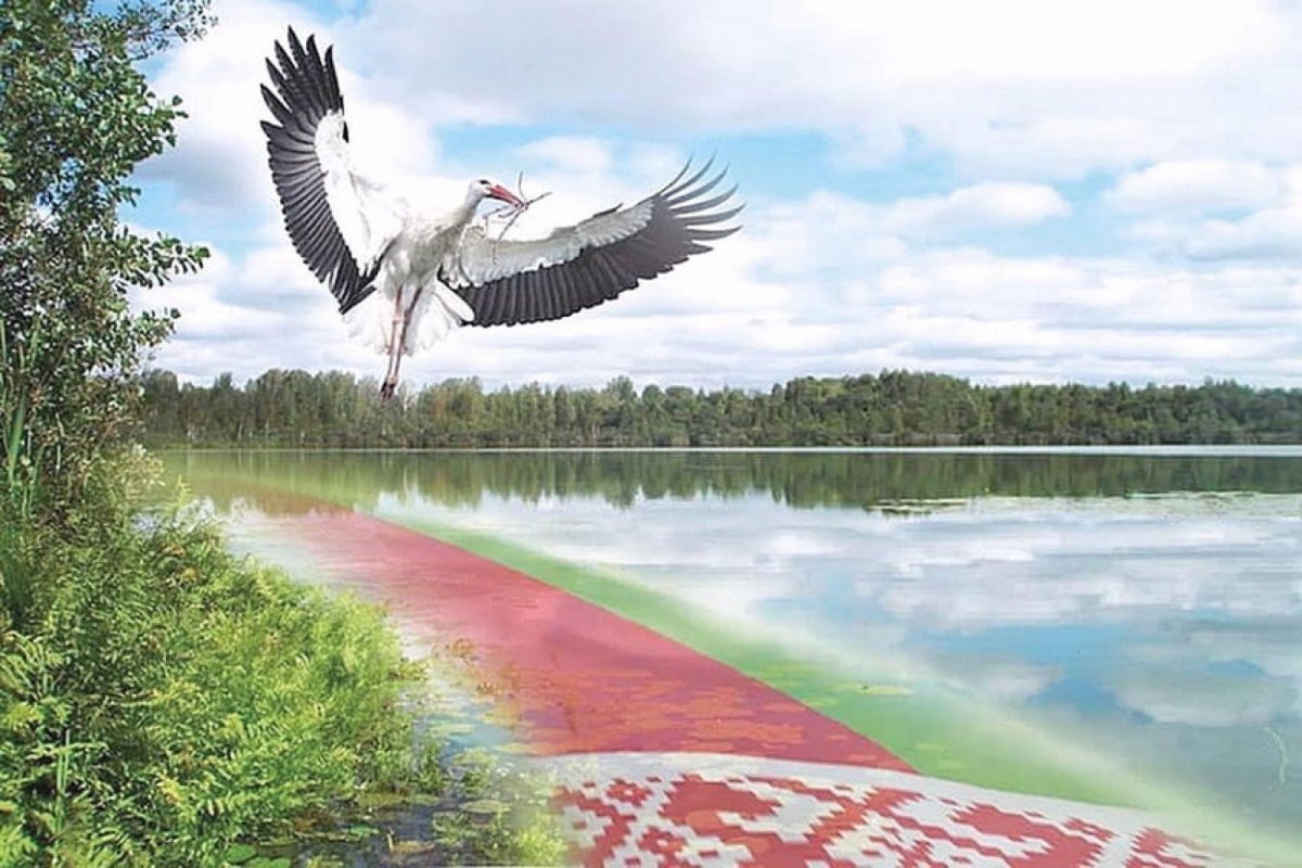 Наша Родина Россия