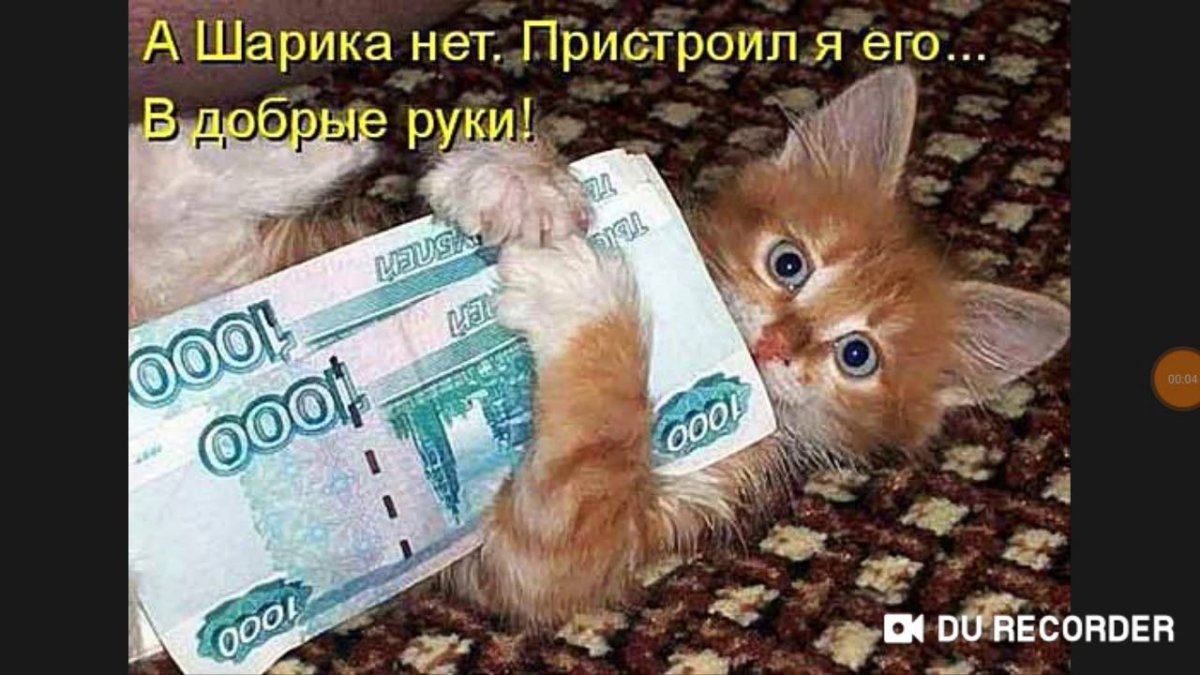 Котенок с деньгами