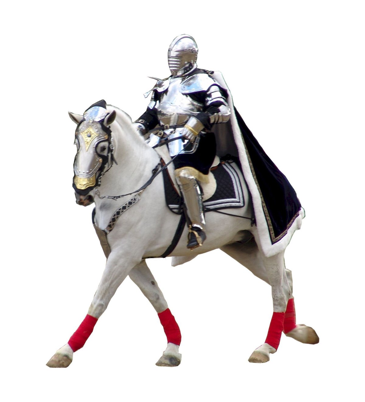 Рыцарь на коне