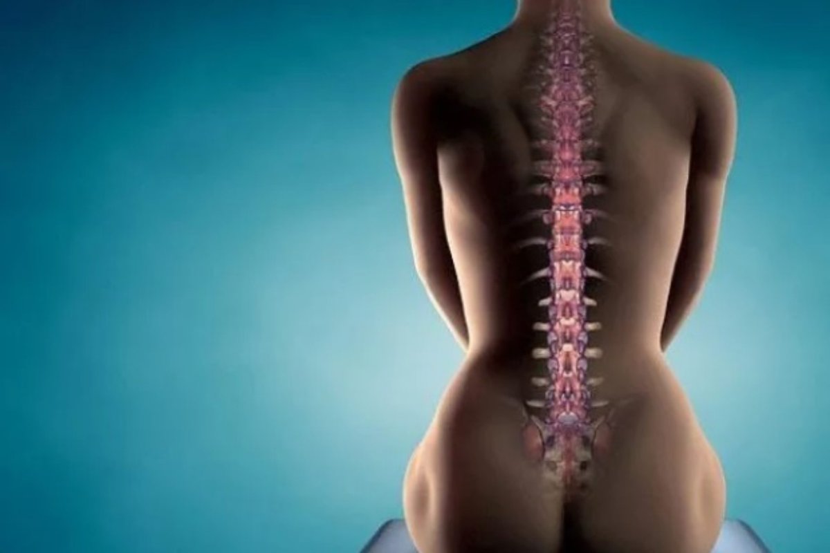 Идеальный позвоночник