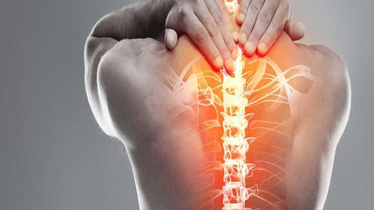 Здоровый позвоночник