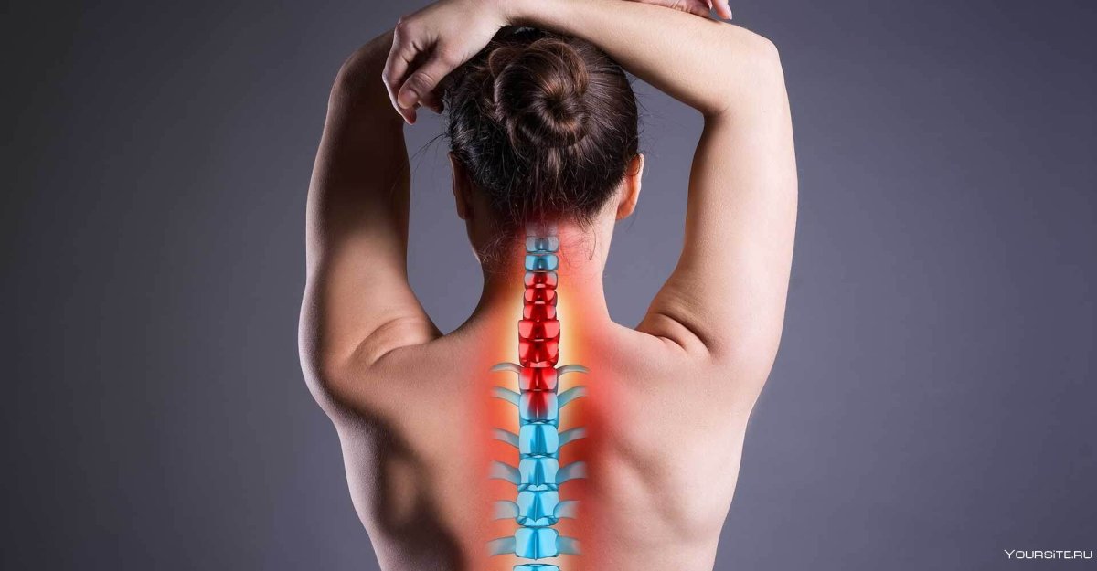 Красивая спина