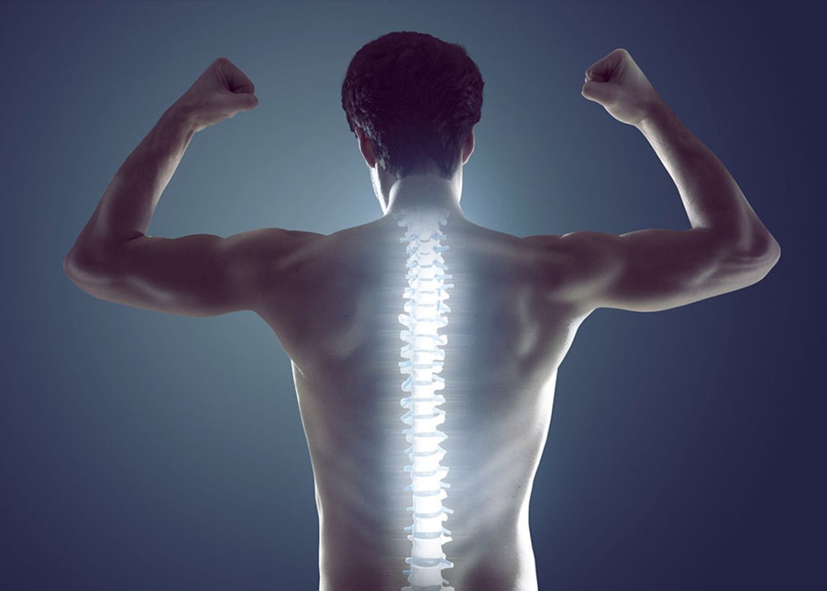 Здоровье позвоночника