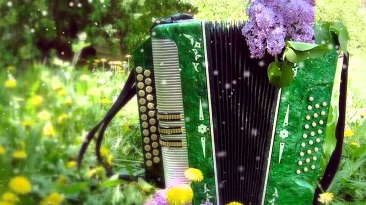 Красивая гармонь