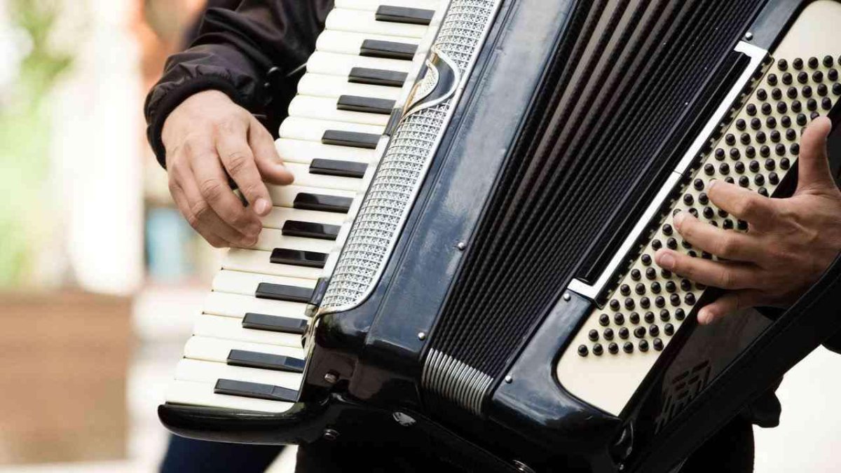 Играет на аккордеоне