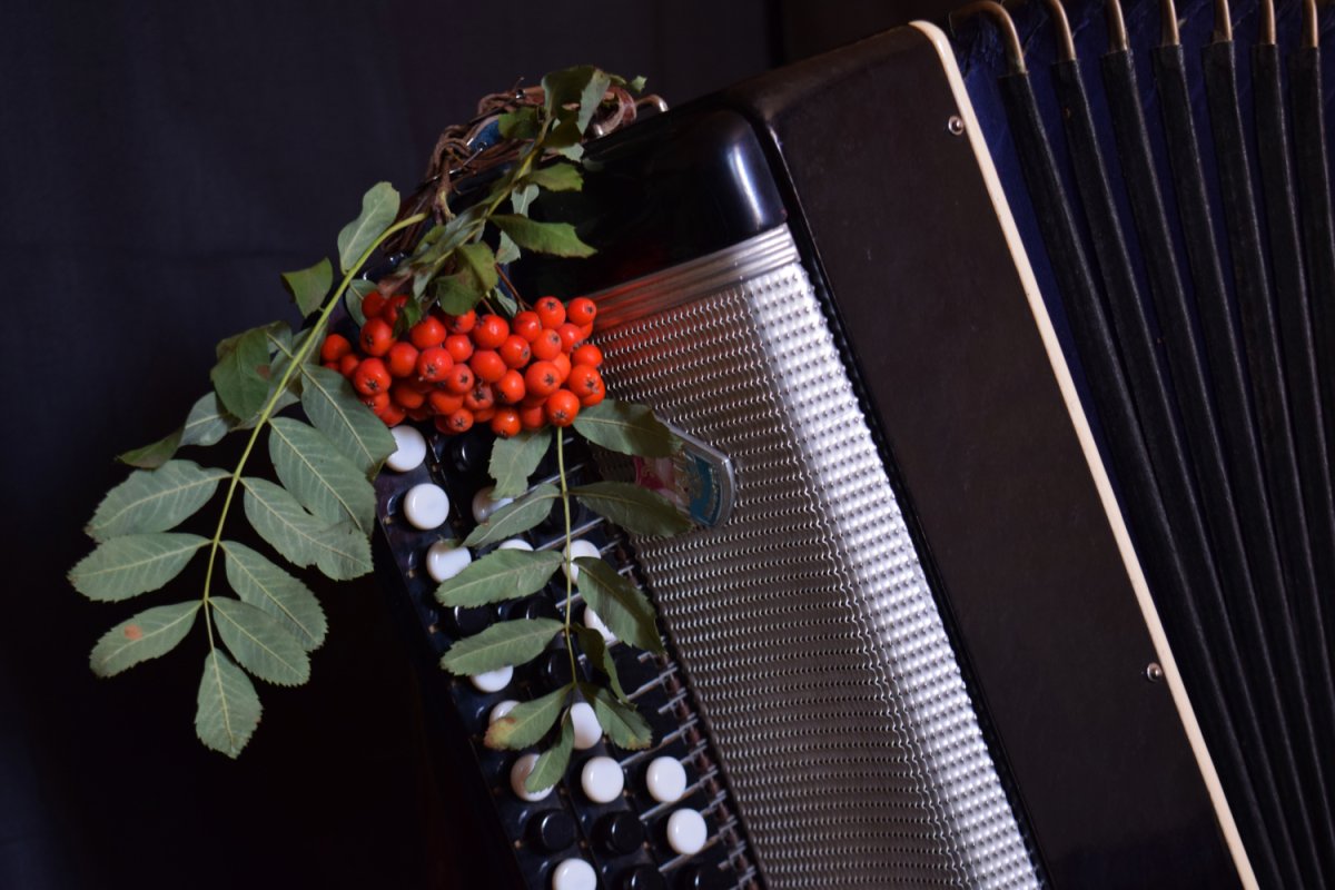 Аккордеон Эстетика