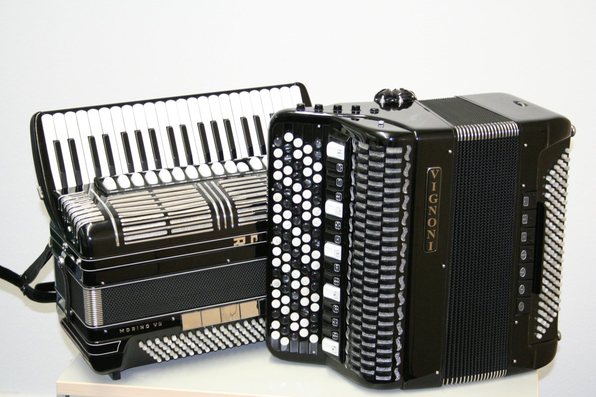 Баян аккордеон гармонь