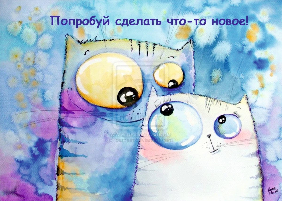 Смешной кот акварель