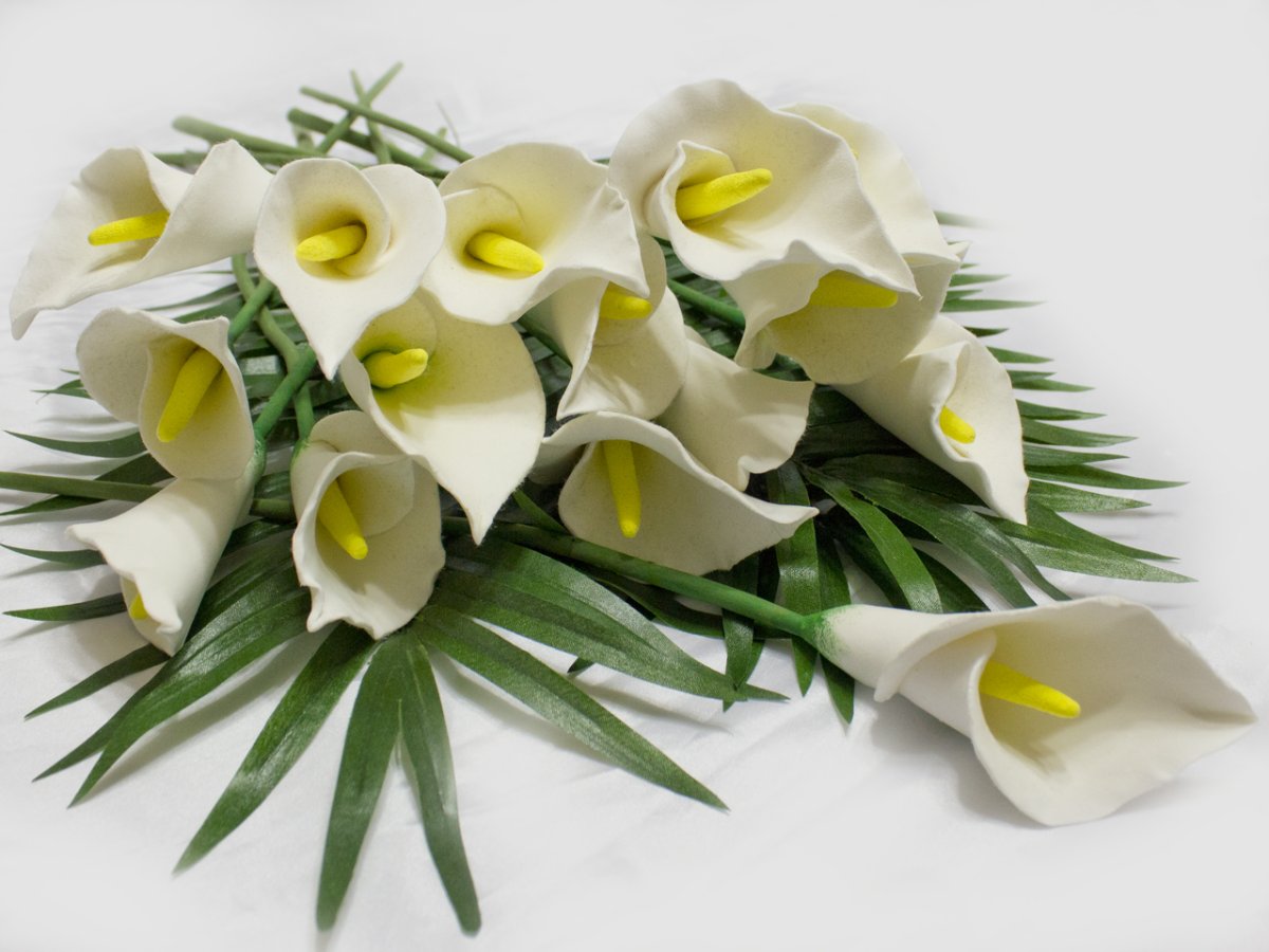 Калла Пикассо