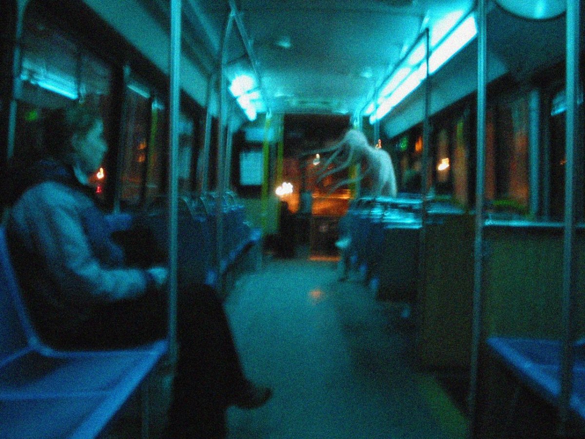 Accidentally Wes Anderson книга