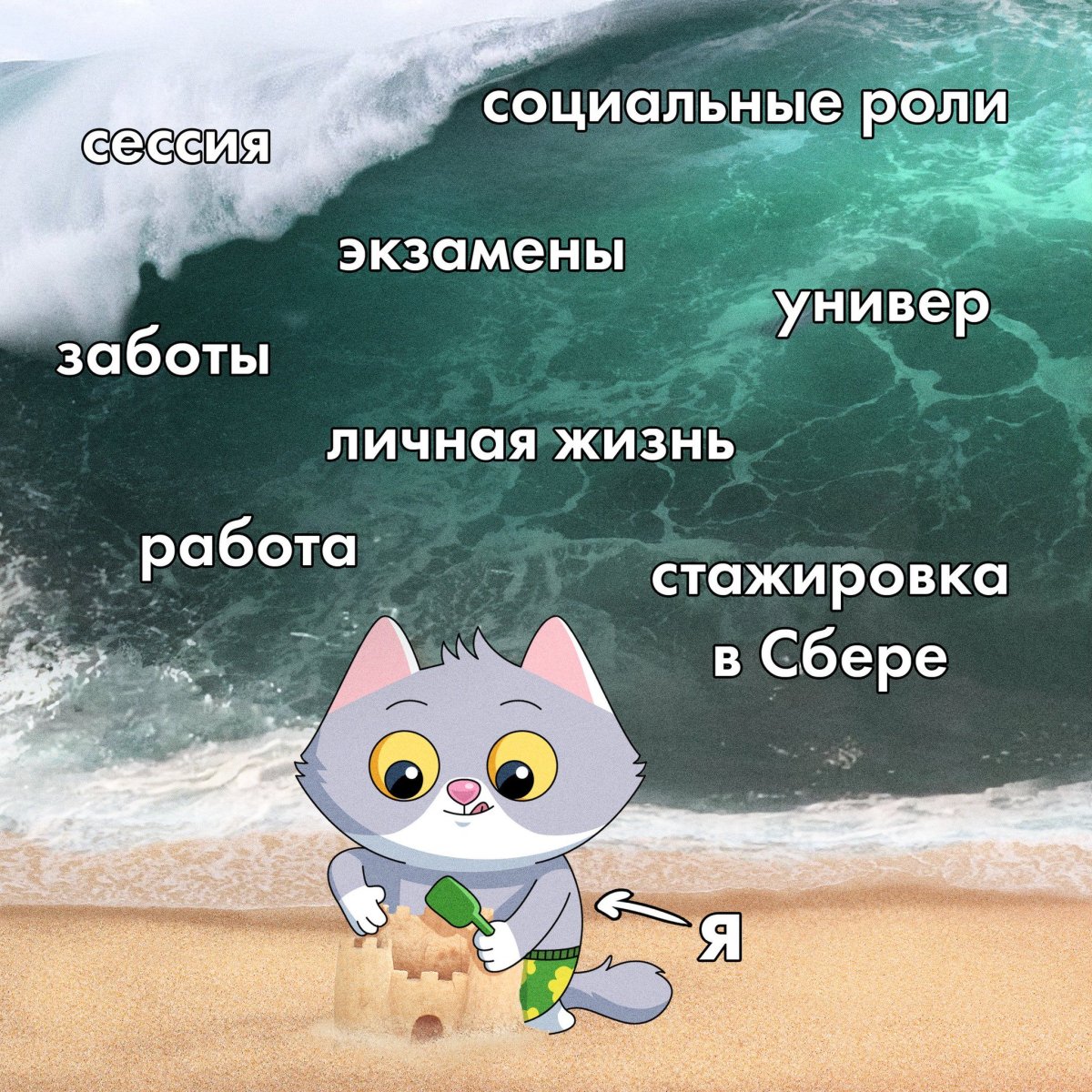 Сессия картинки смешные