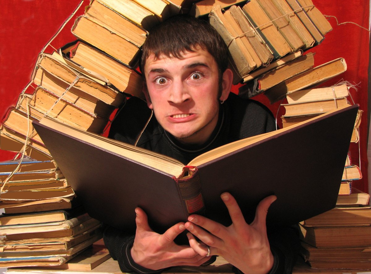 Кот после сессии