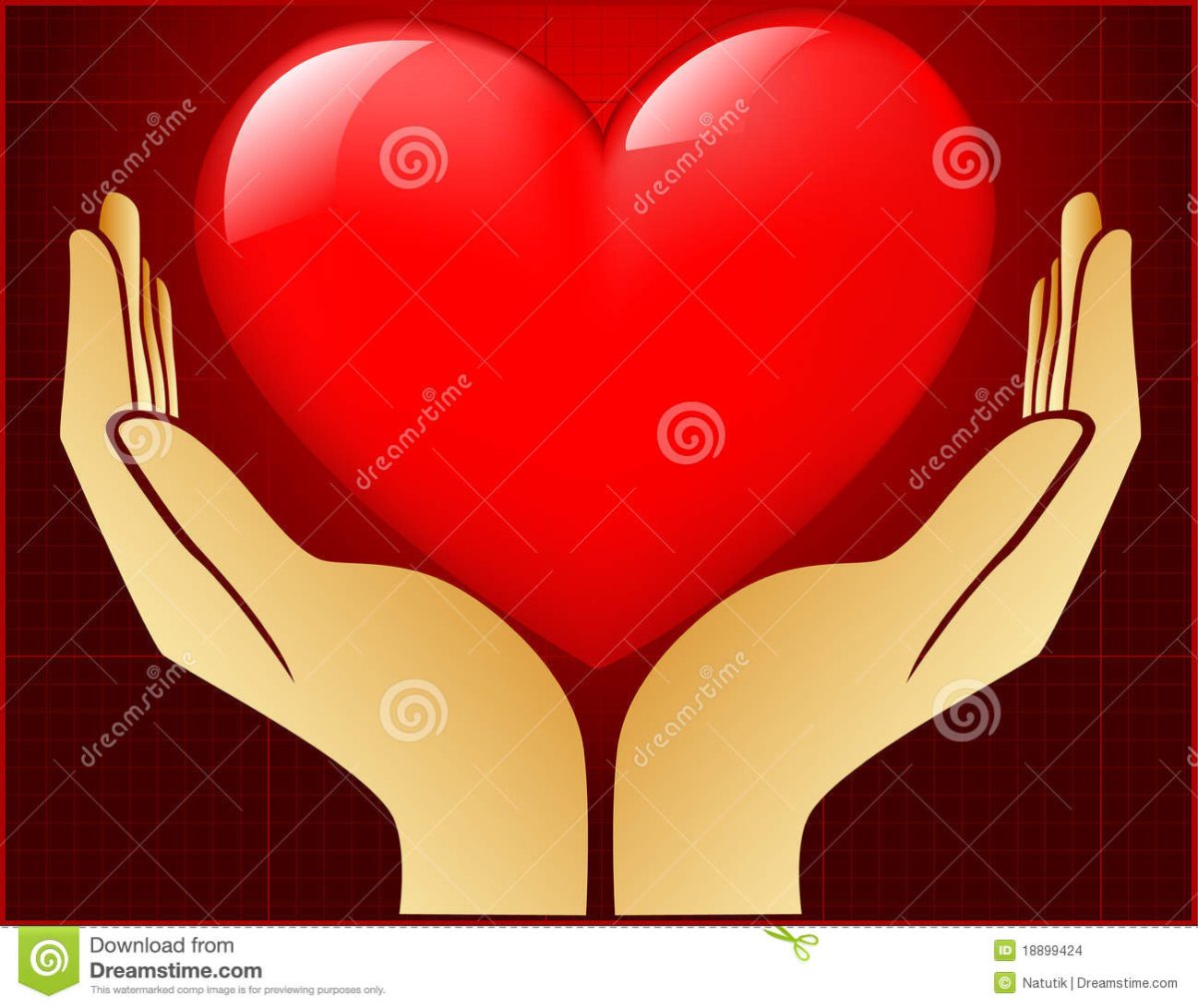 Сердце в ладонях