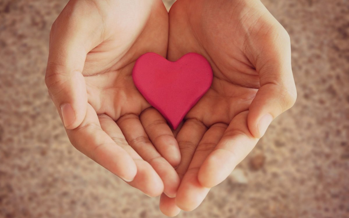 Сердце в ладонях