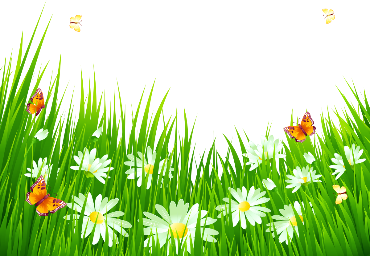 Травка с цветочками