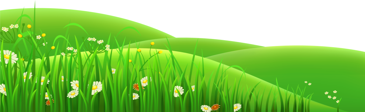 Трава с цветами на прозрачном фоне