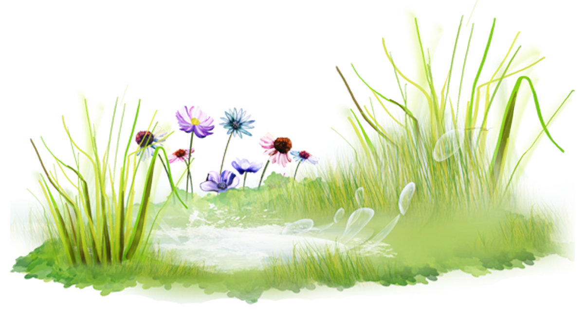 Полянка на белом фоне