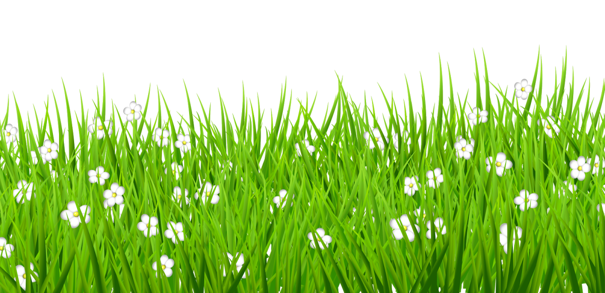 Травка лужок для детей