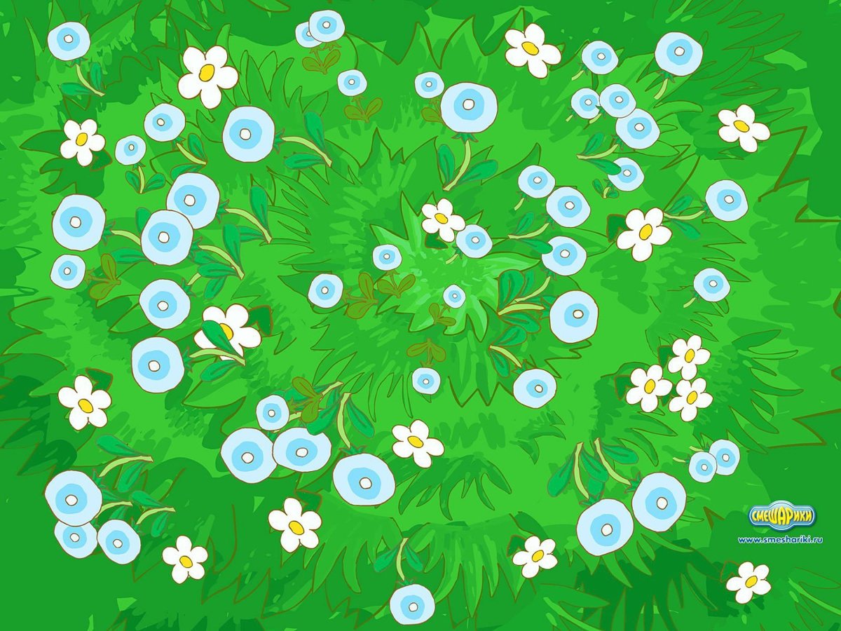 Полянка для домашних животных