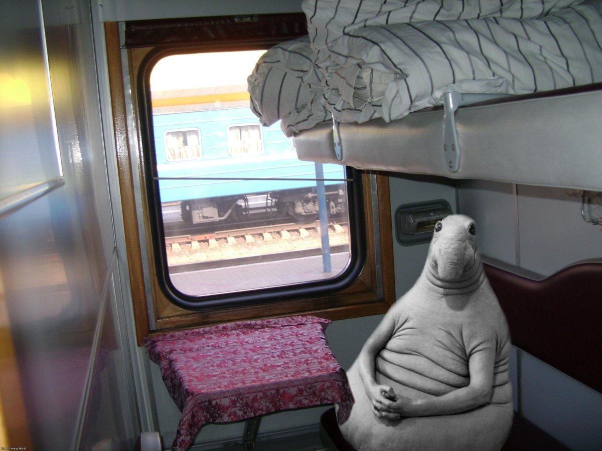 Хуманизация ЖД Дрофа