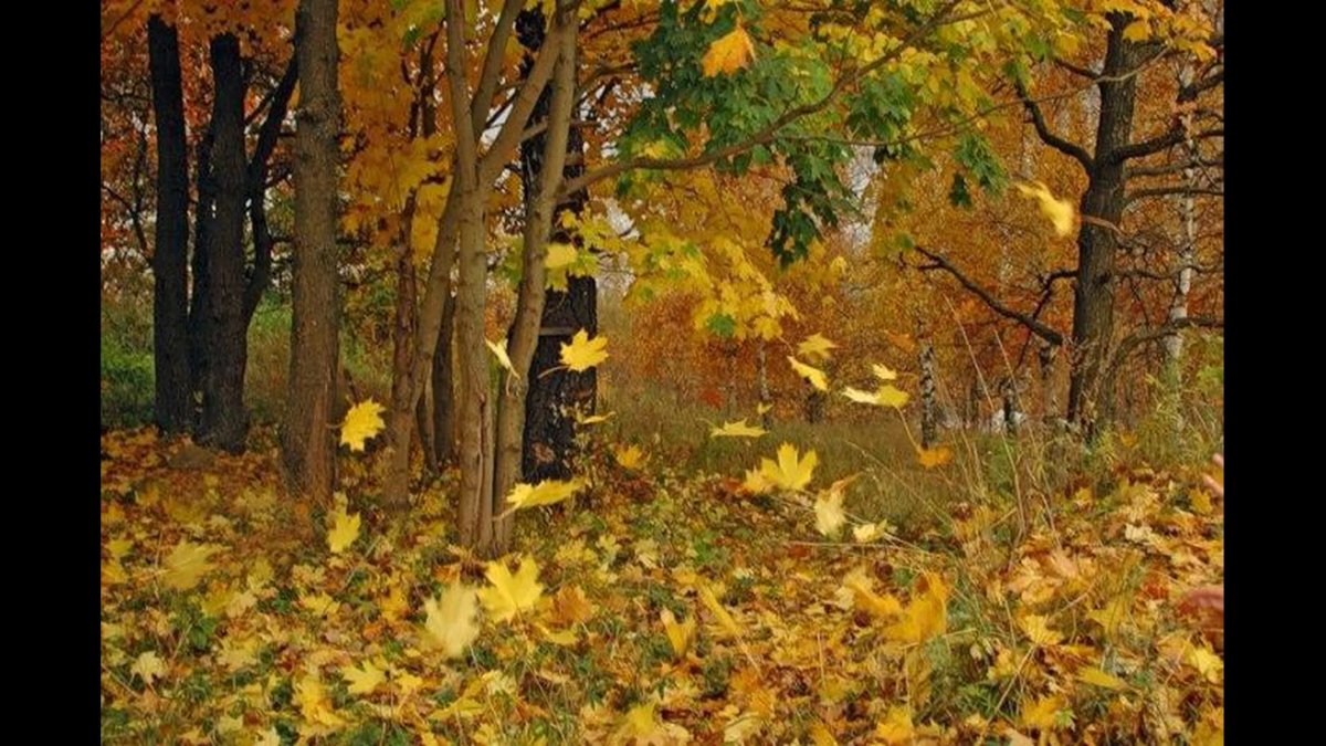 Падающие листья